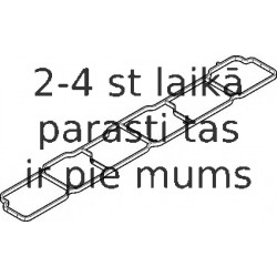 Blīve, Ieplūdes kolektors ELRING 233.250