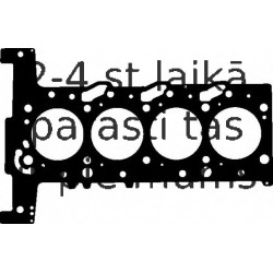 Blīve, Motora bloka galva ELRING 156.211