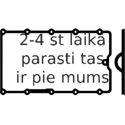 ELRING 005911
