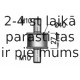 DINEX 64804