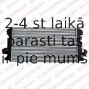 Starpdzesētājs DELPHI TSP0755005