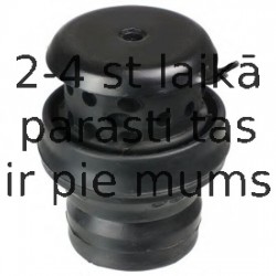 Piekare, Dzinējs DELPHI TEM058