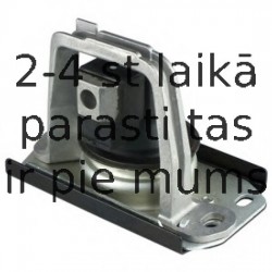 Piekare, Dzinējs DELPHI TEM043