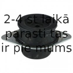 Piekare, Dzinējs DELPHI TEM041