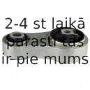 Piekare, Dzinējs DELPHI TEM024