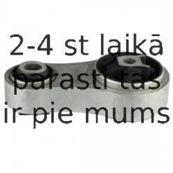 Piekare, Dzinējs DELPHI TEM024