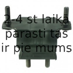 Piekare, Dzinējs DELPHI TEM022