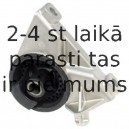 Piekare, Dzinējs DELPHI TEM010