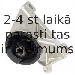 Piekare, Dzinējs DELPHI TEM010