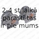 Piekare, Stabilizators DELPHI TD444W