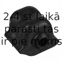 Piekare, Stabilizators DELPHI TD1080W