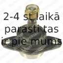 Balst-/Virzošais šarnīrs DELPHI TC966