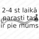 Рычаг независимой подвески колеса, подвеска колеса DELPHI TC869