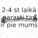 Рычаг независимой подвески колеса, подвеска колеса DELPHI TC805