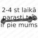 Рычаг независимой подвески колеса, подвеска колеса DELPHI TC414