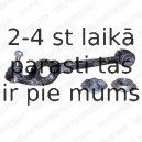 Рычаг независимой подвески колеса, подвеска колеса DELPHI TC373