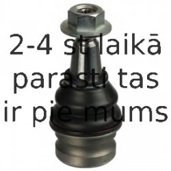 Balst-/Virzošais šarnīrs DELPHI TC2684