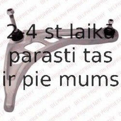 Рычаг независимой подвески колеса, подвеска колеса DELPHI TC2597