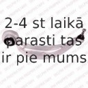 Рычаг независимой подвески колеса, подвеска колеса DELPHI TC2455