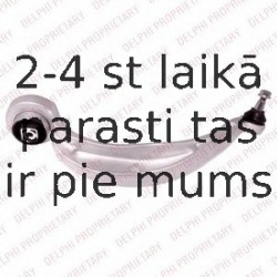 Рычаг независимой подвески колеса, подвеска колеса DELPHI TC2455