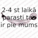 Рычаг независимой подвески колеса, подвеска колеса DELPHI TC2454