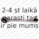 Рычаг независимой подвески колеса, подвеска колеса DELPHI TC2451