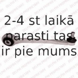 Рычаг независимой подвески колеса, подвеска колеса DELPHI TC2451