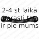 Рычаг независимой подвески колеса, подвеска колеса DELPHI TC2033