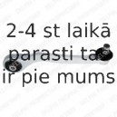 Рычаг независимой подвески колеса, подвеска колеса DELPHI TC1828