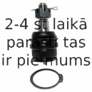 Balst-/Virzošais šarnīrs DELPHI TC1672