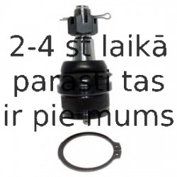 Balst-/Virzošais šarnīrs DELPHI TC1672