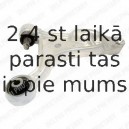 Рычаг независимой подвески колеса, подвеска колеса DELPHI TC1545