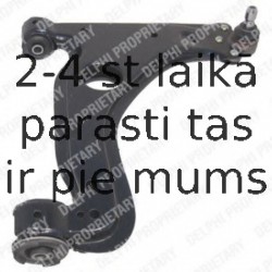 Рычаг независимой подвески колеса, подвеска колеса DELPHI TC1377