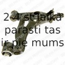 Рычаг независимой подвески колеса, подвеска колеса DELPHI TC1052