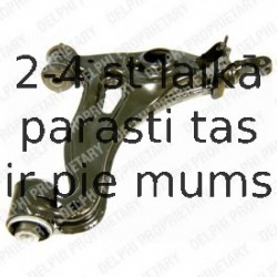 Рычаг независимой подвески колеса, подвеска колеса DELPHI TC1052