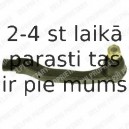 Stūres šķērsstiepņa uzgalis DELPHI TA1663