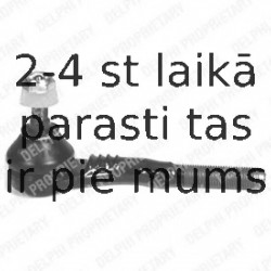 Stūres šķērsstiepņa uzgalis DELPHI TA1245