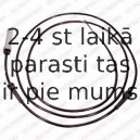 Датчик, частота вращения колеса DELPHI SS20210