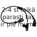 Датчик, частота вращения колеса DELPHI SS20171