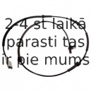 Датчик, частота вращения колеса DELPHI SS20132