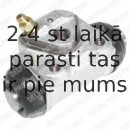 Riteņa bremžu cilindrs DELPHI LW62088