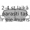 Комплект тормозных колодок, дисковый тормоз DELPHI LP2501