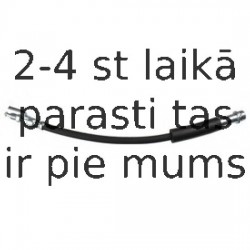 Тормозной шланг DELPHI LH6896