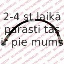 Тормозной шланг DELPHI LH6640