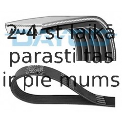 Ķīļrievu siksna DAYCO 6PK1565