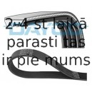 Ķīļrievu siksna DAYCO 4PK1520