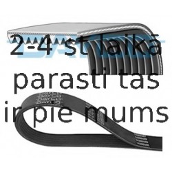 Ķīļrievu siksna DAYCO 10PK1487HD