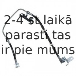 Тормозной шланг DELPHI LH6925