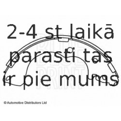 Комплект тормозных колодок BLUE PRINT ADM54138