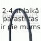 Ķīļrievu siksna CONTITECH 2PJ838